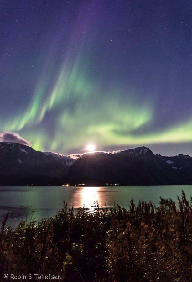 Sjursnes Fjordferie Lägenhet Exteriör bild