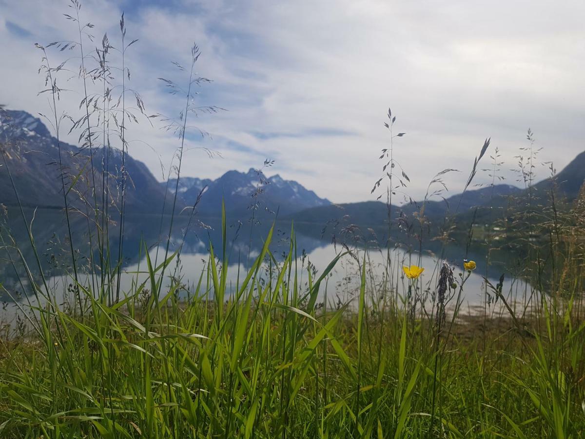 Sjursnes Fjordferie Lägenhet Exteriör bild